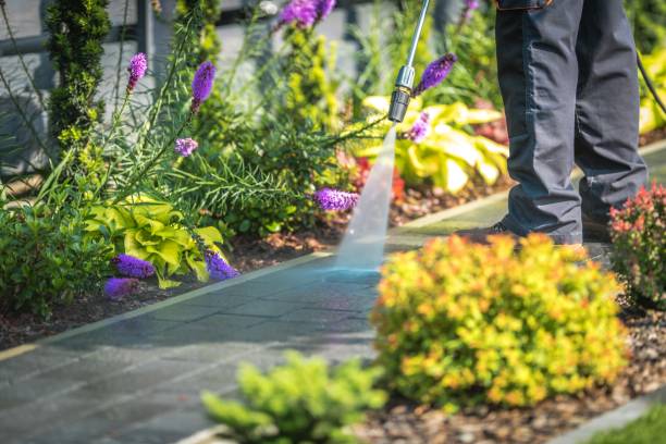 Best Parking Lot Cleaning in Macon, MS
