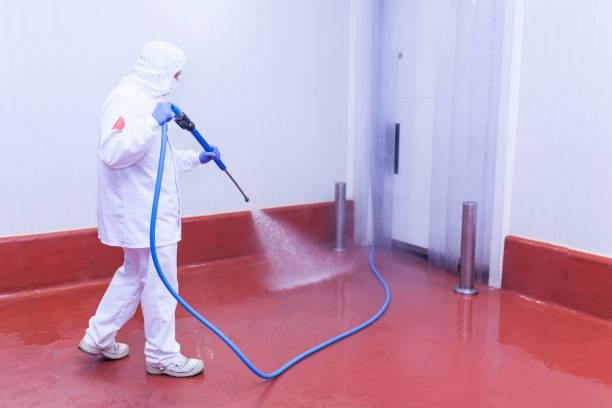 Best Graffiti Removal Services in Macon, MS