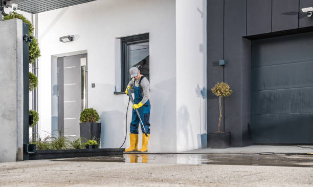 Best Gutter Cleaning and Brightening in Macon, MS